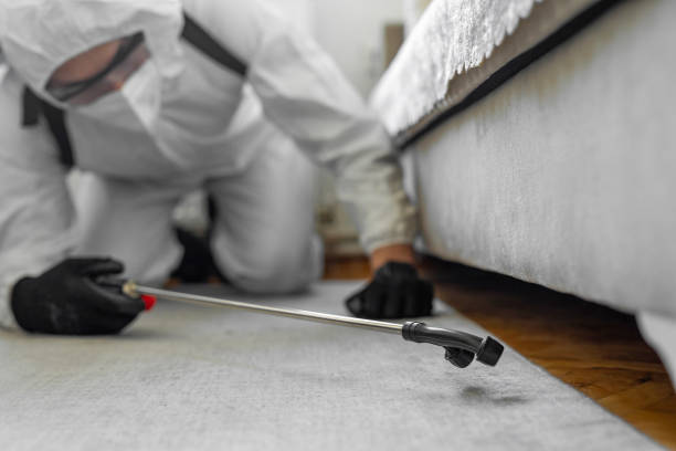 Professional Bed Bug Control technician working in Pomona, KS