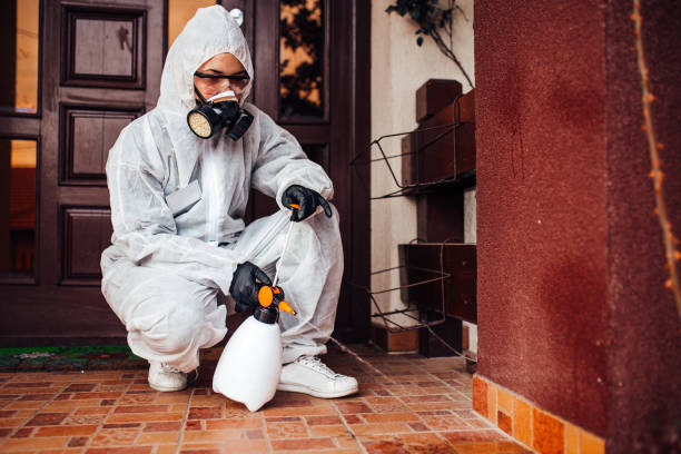 Reliable Bed Bug Control contractor in Pomona, KS by Nex Pest Control