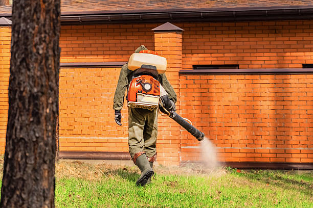 Trusted Cockroach Control service in Pomona, KS - Nex Pest Control